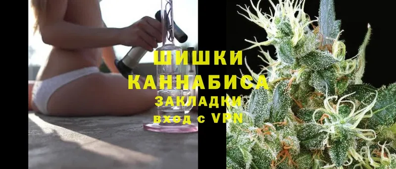 цена   Красный Кут  Конопля сатива 